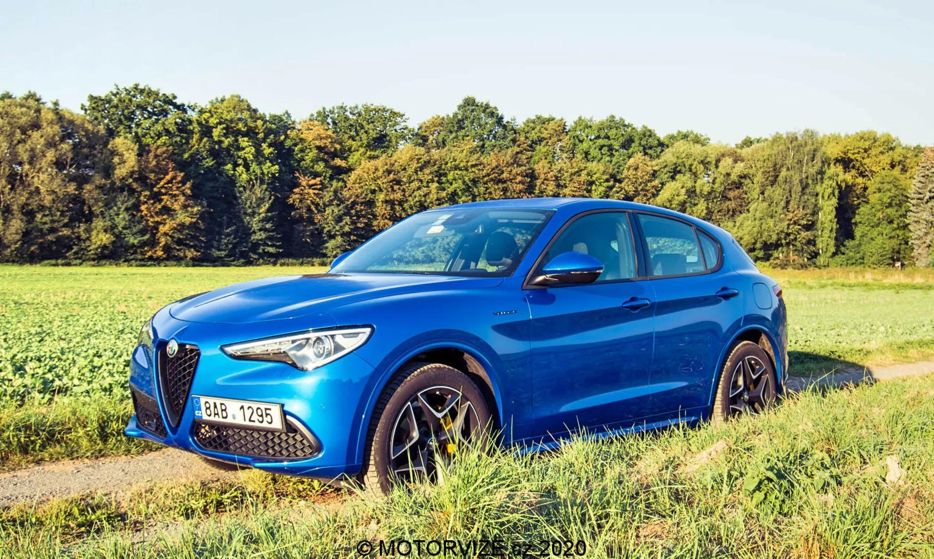 Vista da tre quarti di una Alfa Romeo Stelvio 2017 blu che mostra il suo design moderno e sportivo da SUV, con il frontale rivolto a sinistra e visibili sia il profilo laterale che la parte anteriore, inclusa la grande griglia prominente con logo, i fari eleganti, i cerchi in lega e le linee scolpite. Posizionata su un bordo erboso con un campo naturale sullo sfondo, che suggerisce un ambiente rurale o semi-rurale.