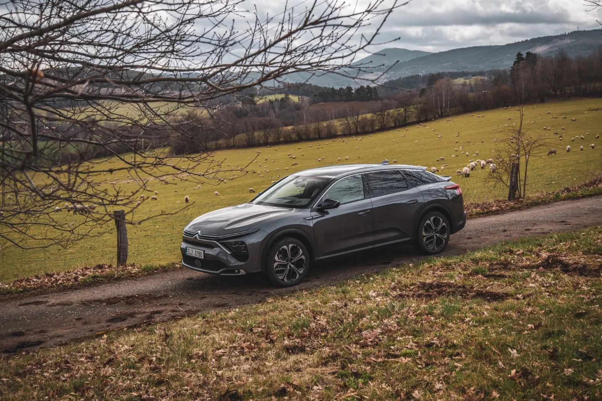 Citroen C5-X del 2022 parcheggiata diagonalmente in un paesaggio campestre con campo erboso e alberi, mostra il suo design crossover elevato, linee nitide della carrozzeria, colore scuro, cerchi in lega e fari LED