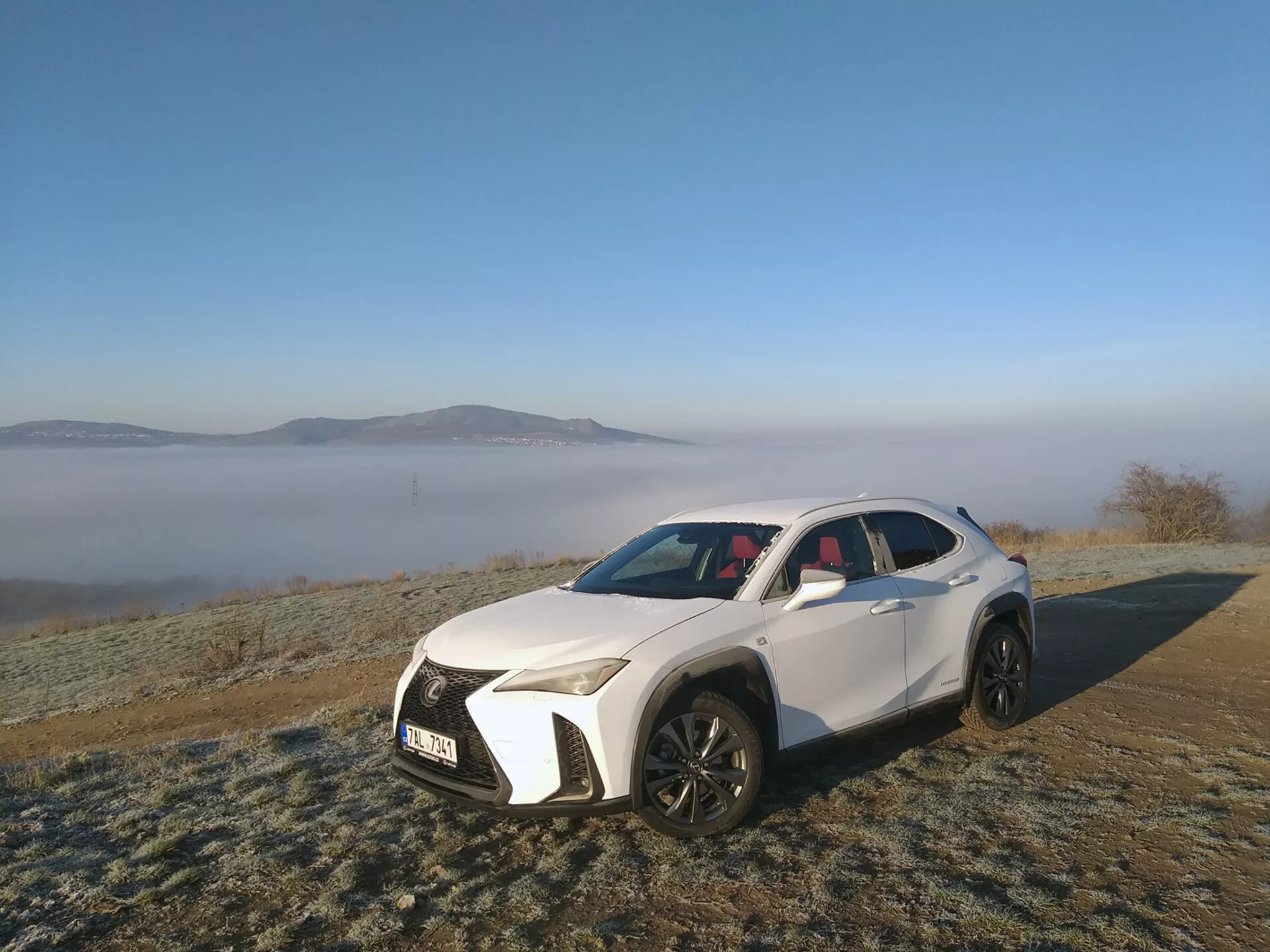 Veicolo utilitario sportivo bianco Lexus UX del 2019 parcheggiato all'aperto su erba ricoperta di brina, che mette in mostra i suoi fari LED angolari, grande griglia a maglia, prese d'aria sportive, cofano contornato, ruote in lega a multi-raggi neri, tetto solare panoramico e elementi di design contemporaneo in uno sfondo mattutino nebbioso.