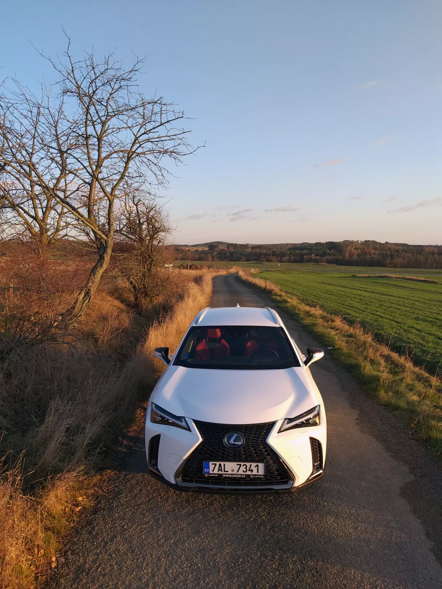 Lexus UX 2019 mostrata da un angolo frontale alto su una strada di campagna, con griglia a spindel, fari LED e design aerodinamico del cofano che suggeriscono tecnologia automobilistica avanzata.