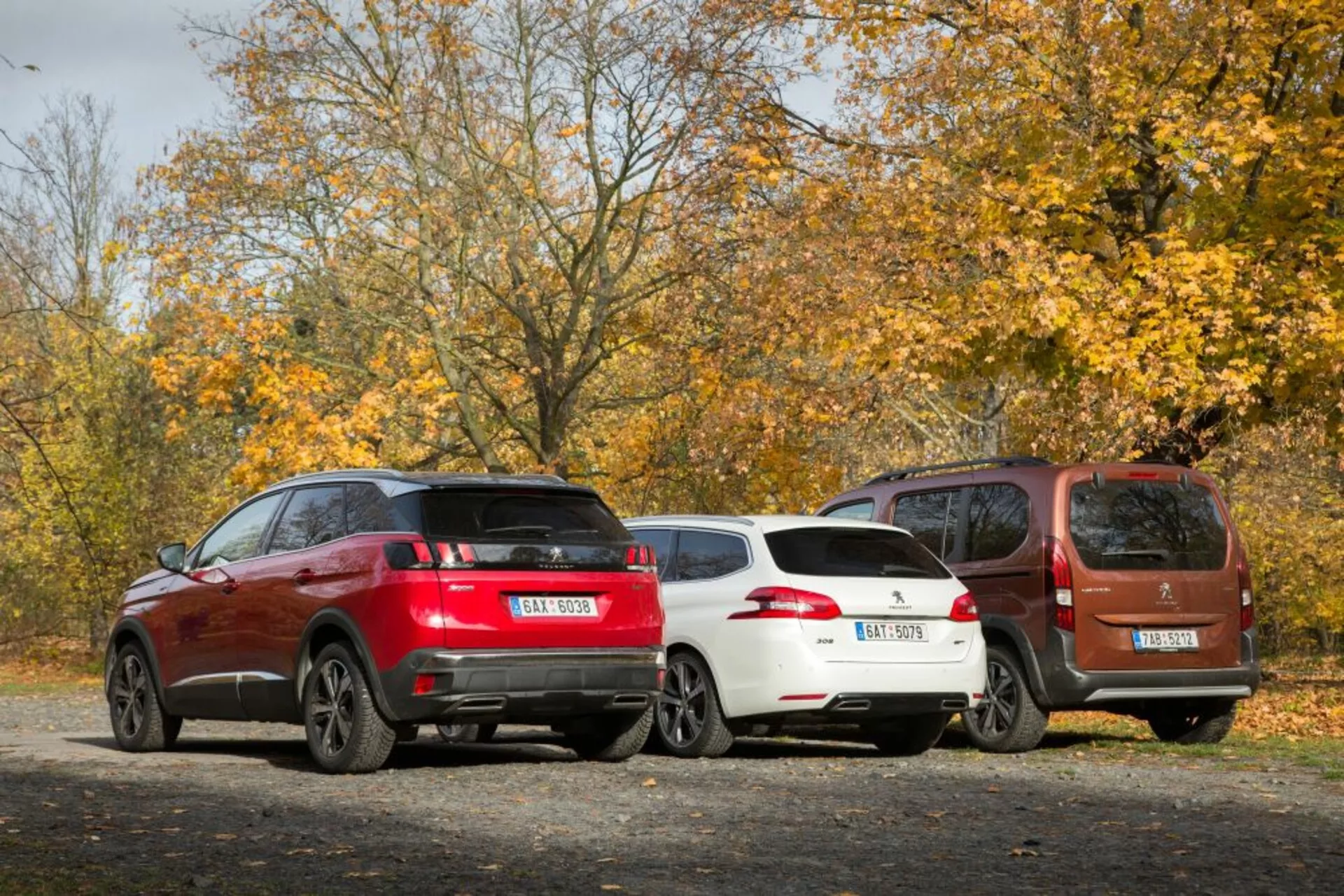 Vista posteriore di tre auto parcheggiate su una superficie di ghiaia a tema autunnale, con un SUV sportivo rosso, una hatchback bianca elegante e un MPV compatto marrone, tutti dotati di caratteristiche moderne come cerchi in lega e sensori di parcheggio posteriori, alla luce naturale del giorno.