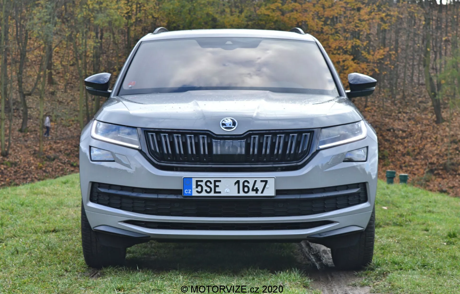Vista frontale di una Škoda Kodiaq 2017 posizionata in un'area erbosa con alberi sullo sfondo, che evidenzia il suo emblema prominente, la griglia con listelli orizzontali, i fari stretti, la targa centrale, il cofano sagomato e il design aerodinamico del paraurti, catturata alla luce naturale.