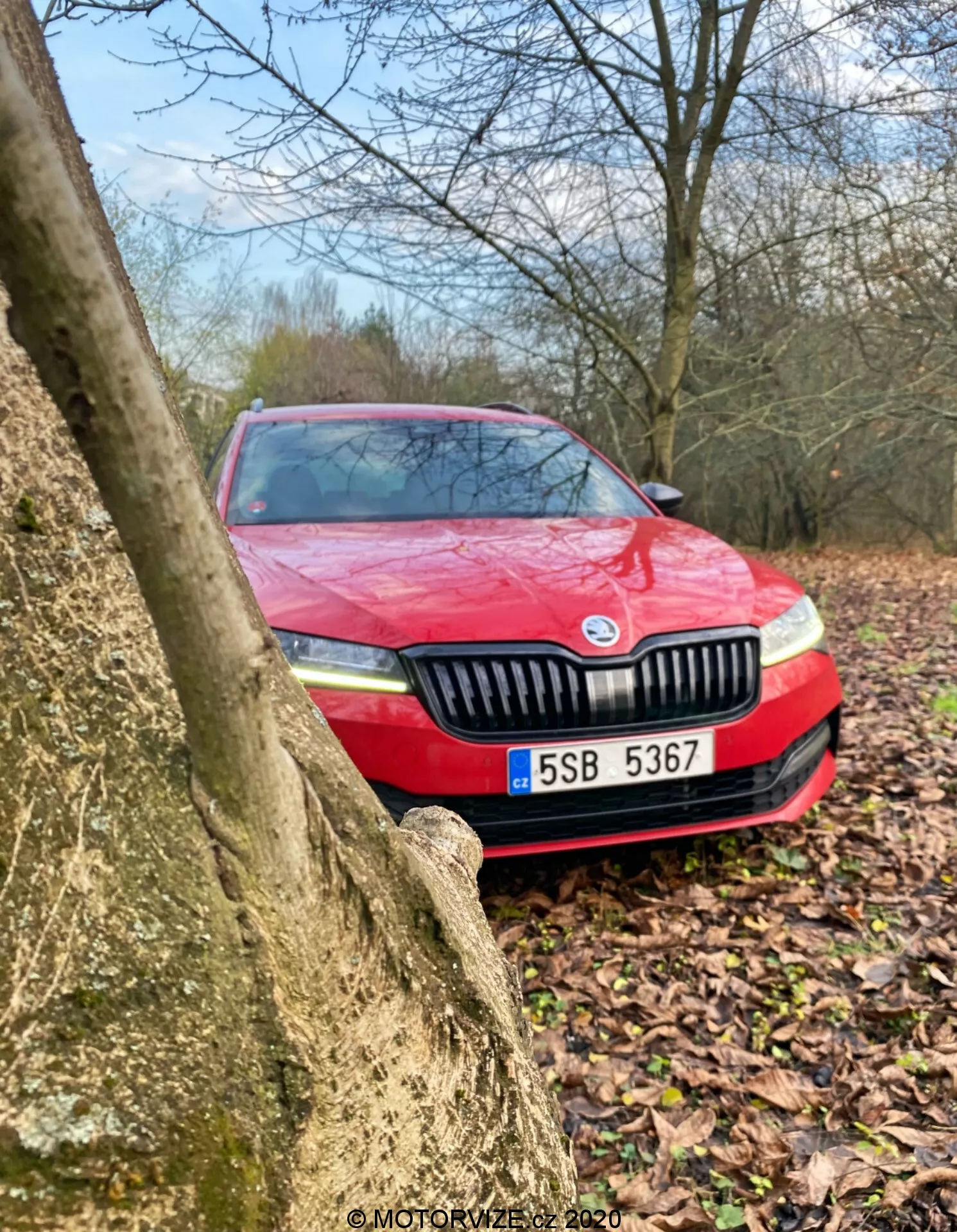 Skoda Superb 2019 rossa parzialmente oscurata dal tronco di un albero, vista da un angolo obliquo basso che enfatizza la sezione anteriore con griglia, fari e targa in un ambiente esterno; colori tenui suggeriscono condizioni nuvolose e probabilmente pioggia recente