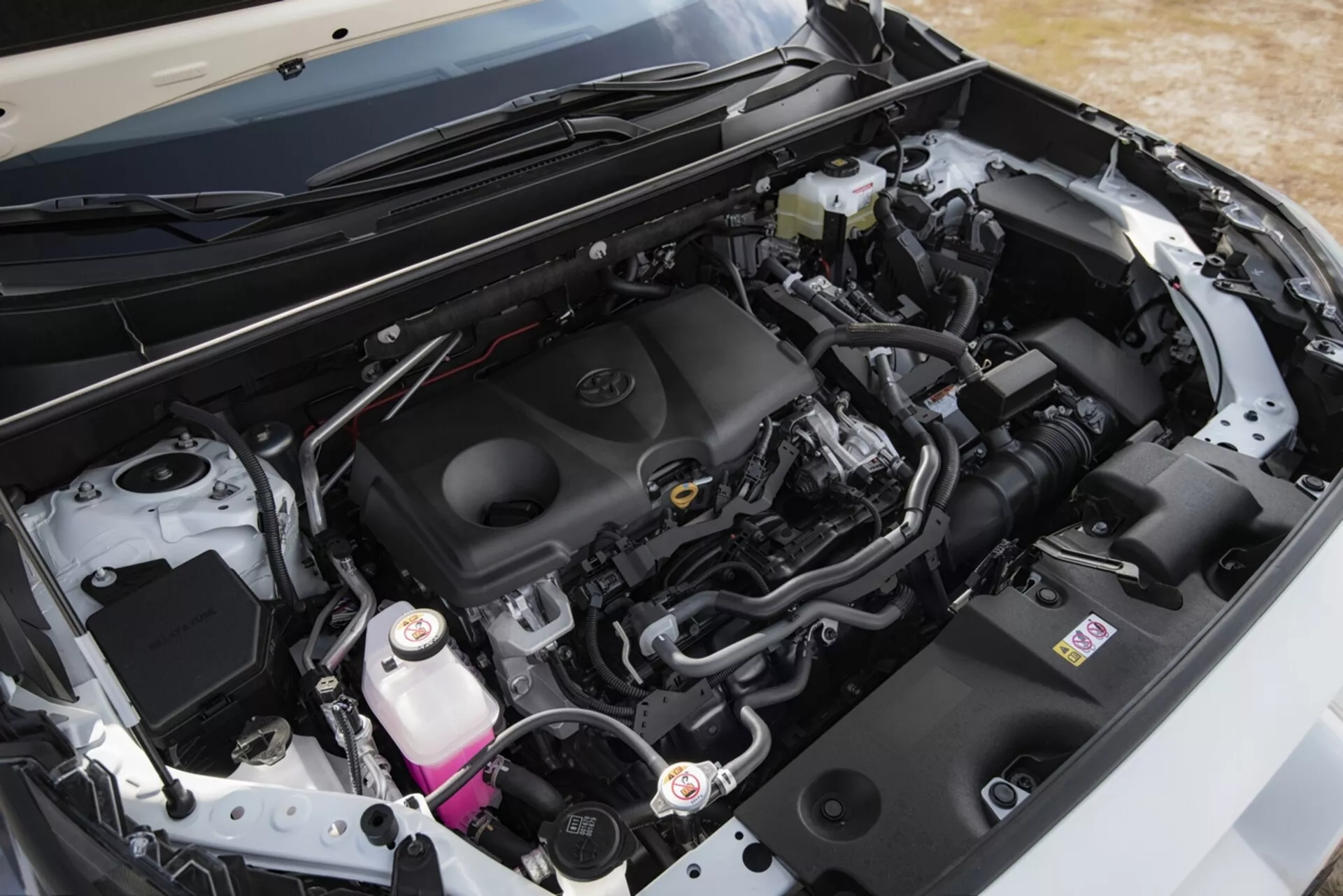 Vista ravvicinata del vano motore di una Toyota RAV4 2019, che evidenzia il design pulito e moderno e componenti come il coperchio del motore con l'emblema del marchio, sistema di aspirazione dell'aria, batteria, serbatoio del liquido dei freni, e serbatoio del refrigerante, insieme a vari tubi e cablaggi, sotto il cofano aperto da un angolo obliquo.